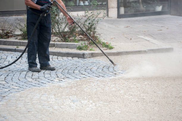 Best Window and Screen Pressure Cleaning in Milmay, NJ