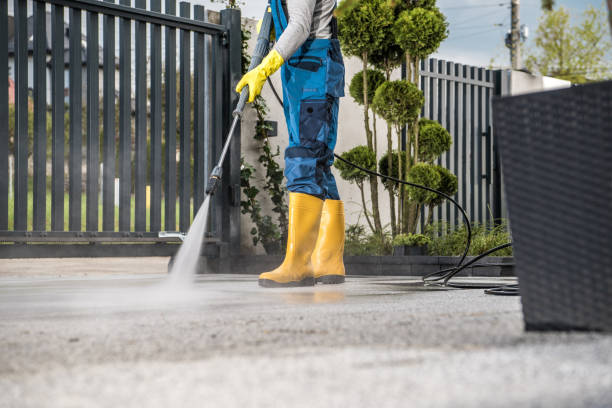 Best Vinyl Siding Pressure Washing in Milmay, NJ